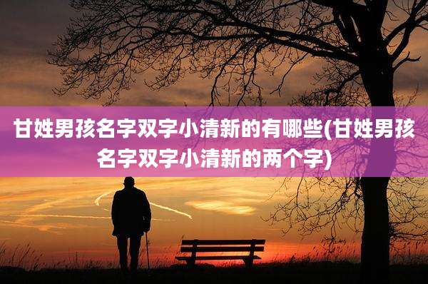 甘姓男孩名字双字小清新的有哪些(甘姓男孩名字双字小清新的两个字)