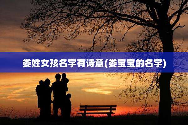 娄姓女孩名字有诗意(娄宝宝的名字)
