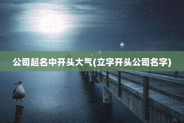 公司起名中开头大气(立字开头公司名字)