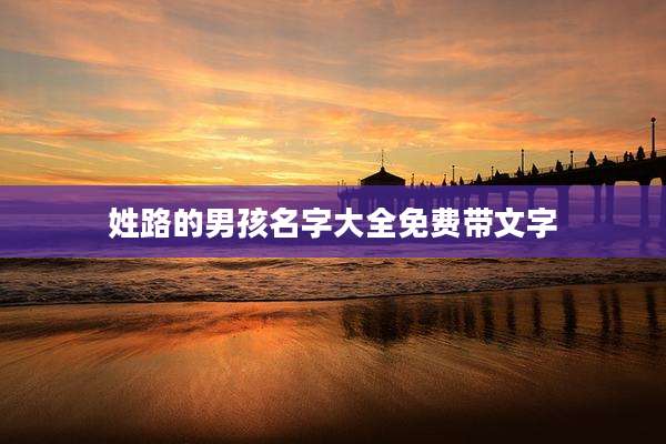 姓路的男孩名字大全免费带文字