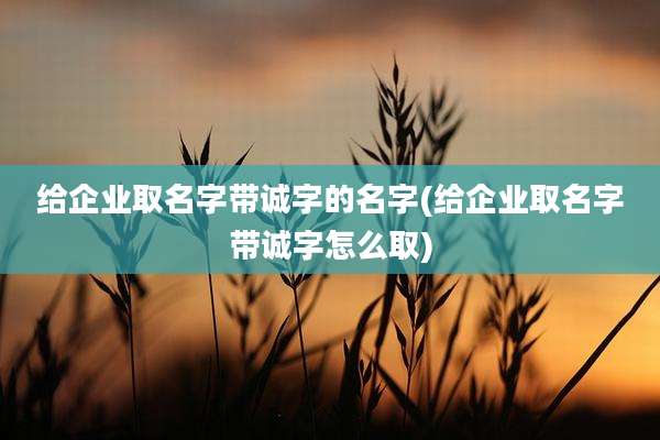 给企业取名字带诚字的名字(给企业取名字带诚字怎么取)