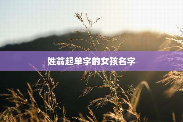 姓翁起单字的女孩名字