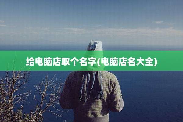 给电脑店取个名字(电脑店名大全)