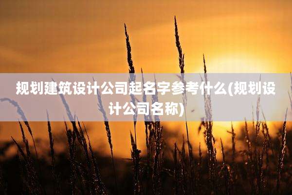 规划建筑设计公司起名字参考什么(规划设计公司名称)