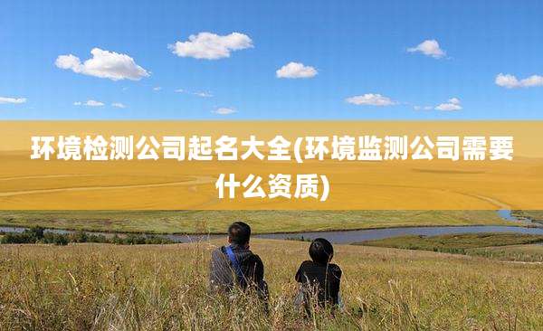 环境检测公司起名大全(环境监测公司需要什么资质)