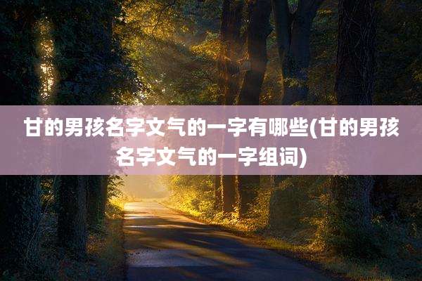 甘的男孩名字文气的一字有哪些(甘的男孩名字文气的一字组词)