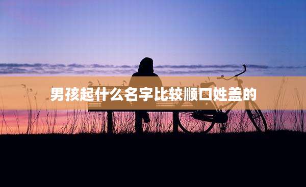 男孩起什么名字比较顺口姓盖的