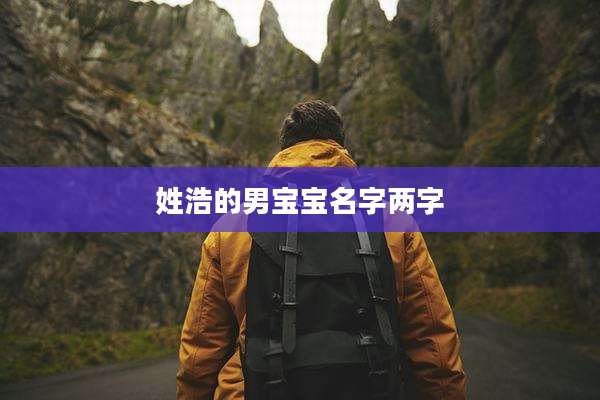 姓浩的男宝宝名字两字