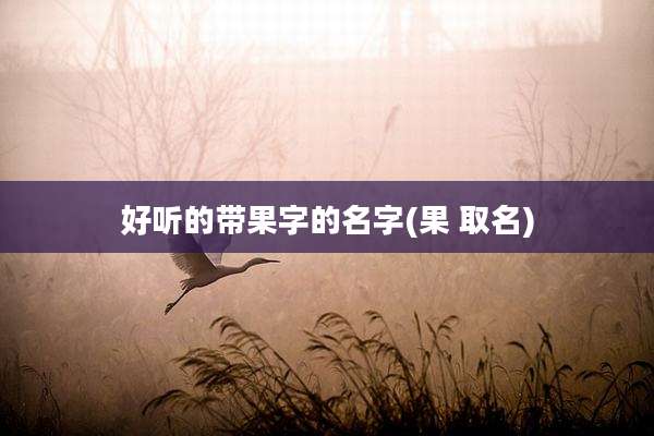 好听的带果字的名字(果 取名)