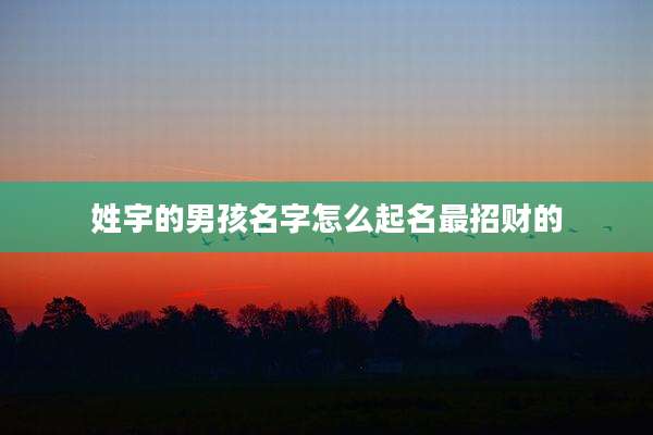 姓宇的男孩名字怎么起名最招财的