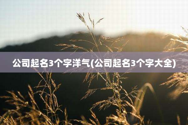 公司起名3个字洋气(公司起名3个字大全)