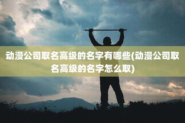 动漫公司取名高级的名字有哪些(动漫公司取名高级的名字怎么取)
