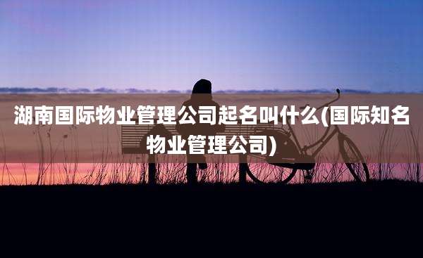 湖南国际物业管理公司起名叫什么(国际知名物业管理公司)