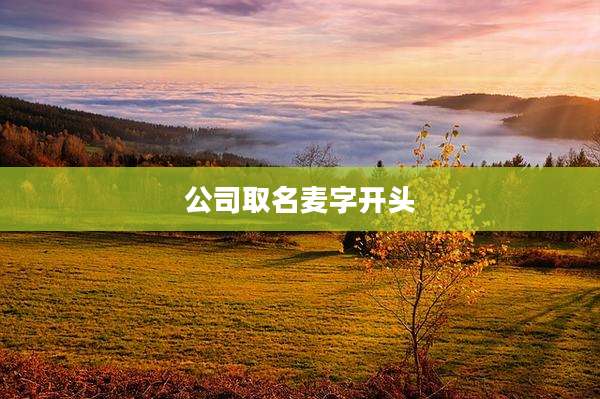 公司取名麦字开头
