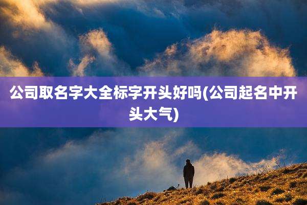 公司取名字大全标字开头好吗(公司起名中开头大气)