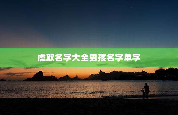 虎取名字大全男孩名字单字