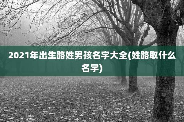 2021年出生路姓男孩名字大全(姓路取什么名字)
