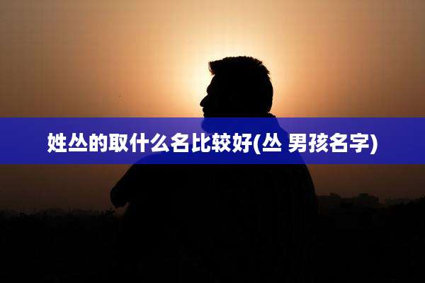 姓丛的取什么名比较好(丛 男孩名字)