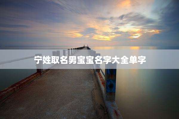 宁姓取名男宝宝名字大全单字