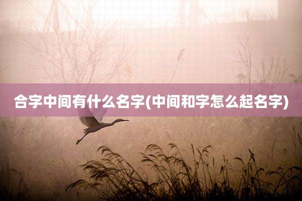 合字中间有什么名字(中间和字怎么起名字)