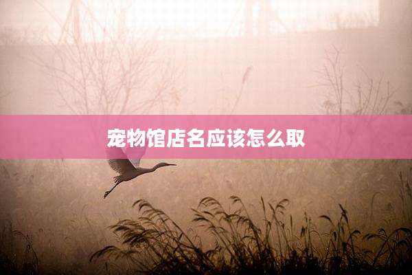 宠物馆店名应该怎么取