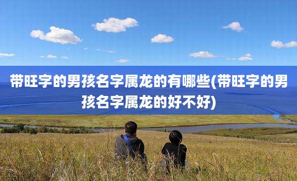 带旺字的男孩名字属龙的有哪些(带旺字的男孩名字属龙的好不好)