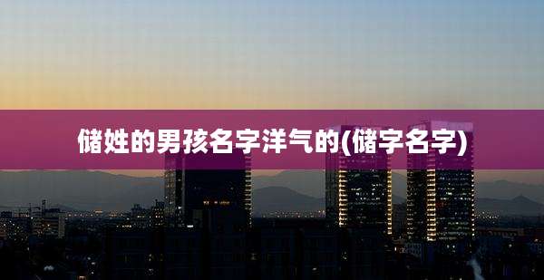 储姓的男孩名字洋气的(储字名字)