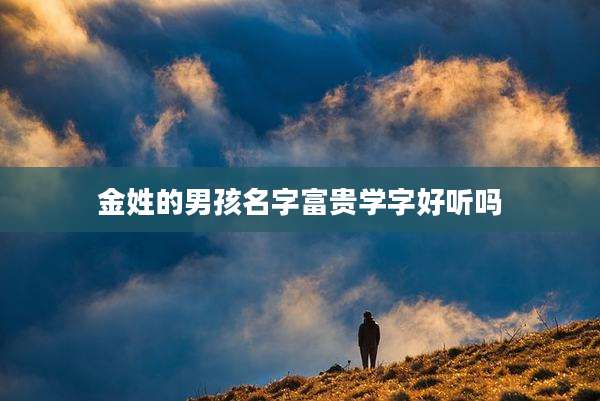 金姓的男孩名字富贵学字好听吗