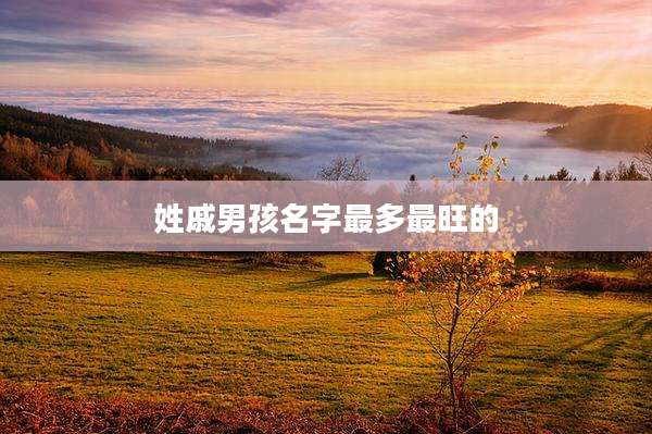 姓戚男孩名字最多最旺的