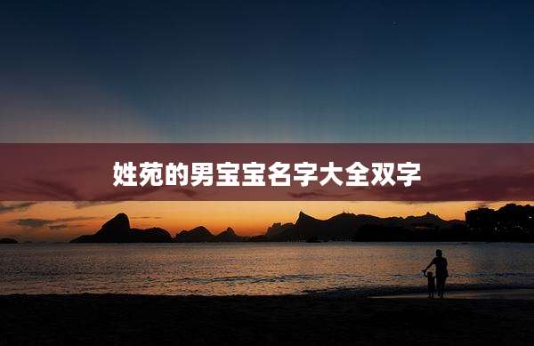 姓苑的男宝宝名字大全双字