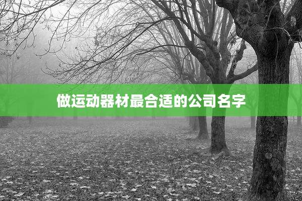 做运动器材最合适的公司名字
