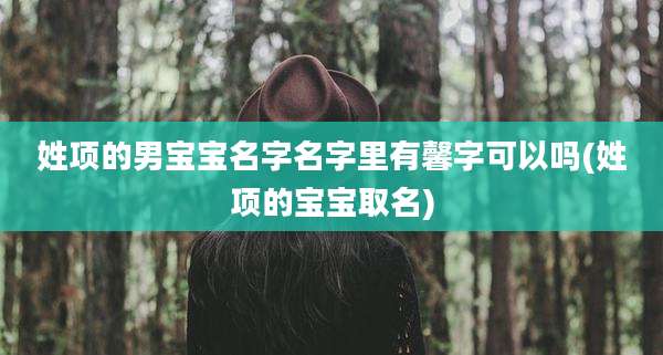 姓项的男宝宝名字名字里有馨字可以吗(姓项的宝宝取名)