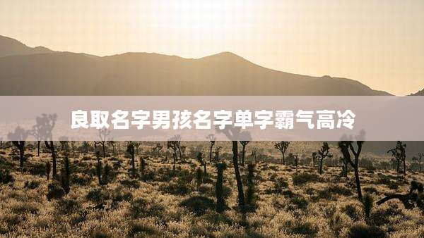 良取名字男孩名字单字霸气高冷
