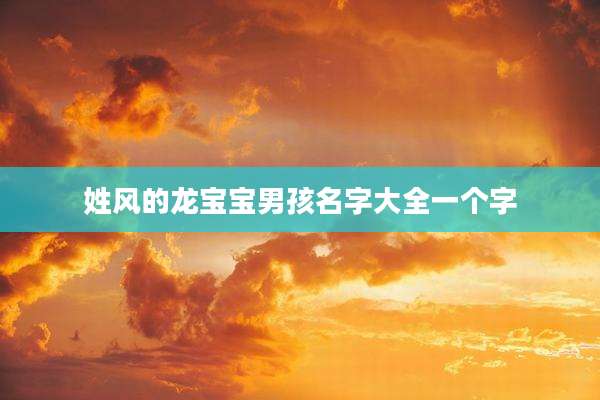 姓风的龙宝宝男孩名字大全一个字