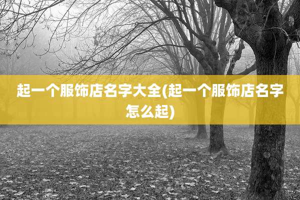 起一个服饰店名字大全(起一个服饰店名字怎么起)