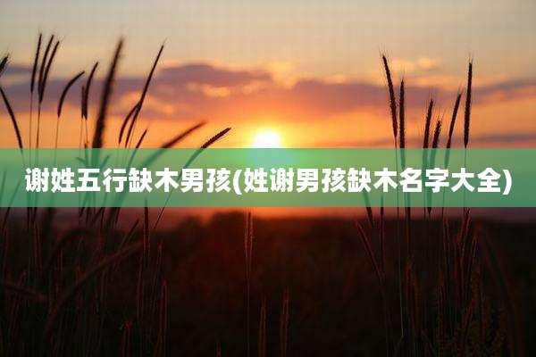 谢姓五行缺木男孩(姓谢男孩缺木名字大全)