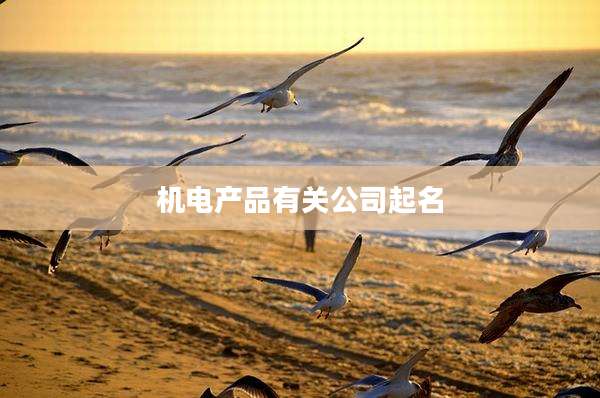 机电产品有关公司起名