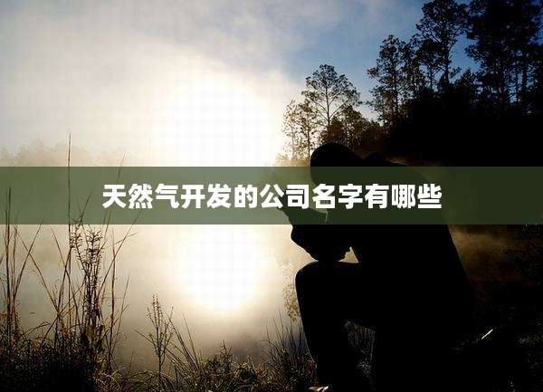 天然气开发的公司名字有哪些