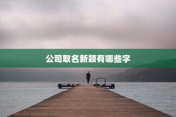 公司取名新颖有哪些字