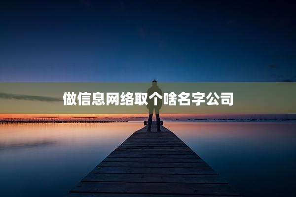 做信息网络取个啥名字公司