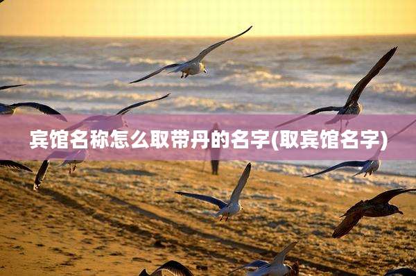 宾馆名称怎么取带丹的名字(取宾馆名字)
