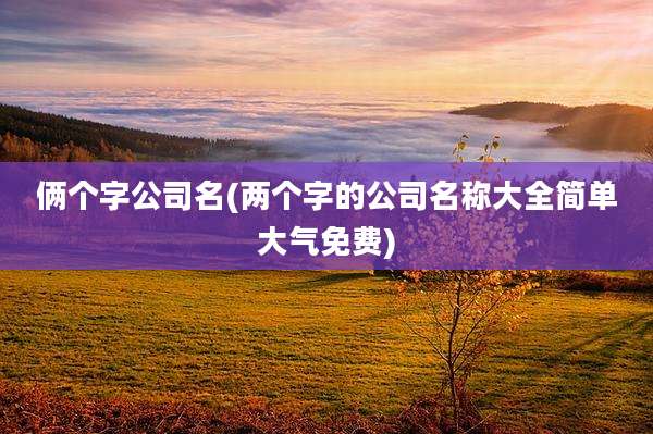 俩个字公司名(两个字的公司名称大全简单大气免费)