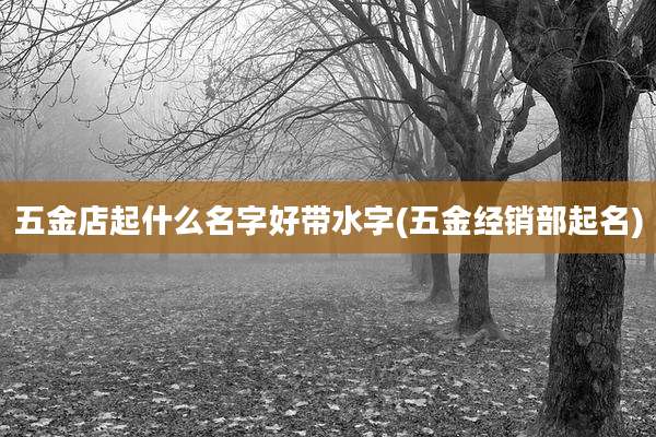 五金店起什么名字好带水字(五金经销部起名)
