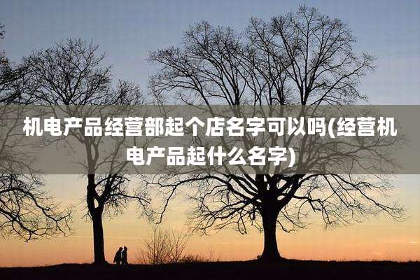 机电产品经营部起个店名字可以吗(经营机电产品起什么名字)