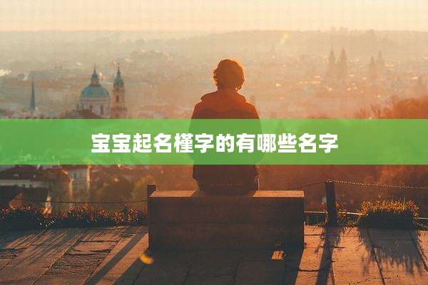 宝宝起名槿字的有哪些名字