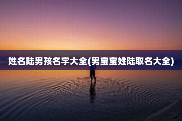 姓名陆男孩名字大全(男宝宝姓陆取名大全)