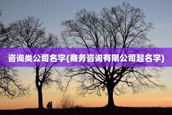 咨询类公司名字(商务咨询有限公司起名字)
