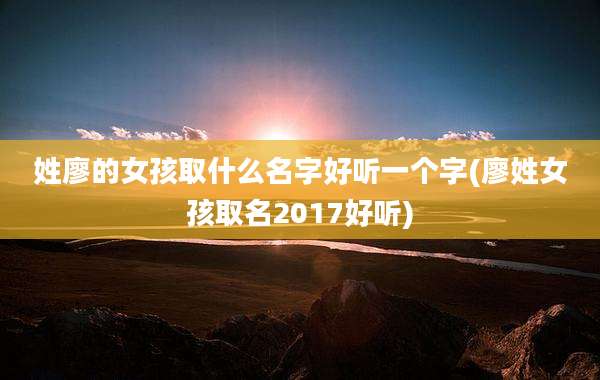 姓廖的女孩取什么名字好听一个字(廖姓女孩取名2017好听)