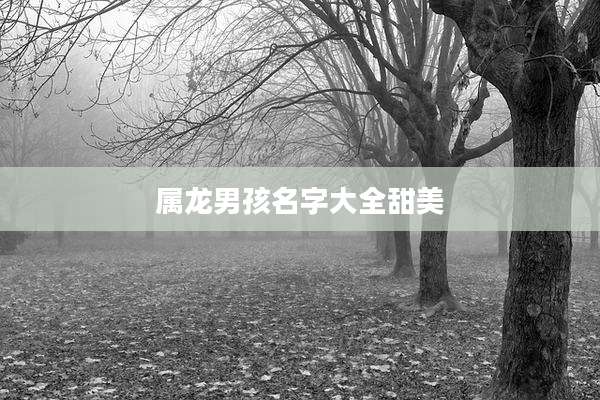 属龙男孩名字大全甜美