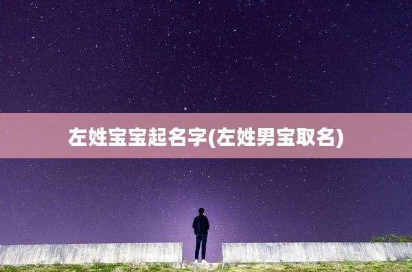 左姓宝宝起名字(左姓男宝取名)